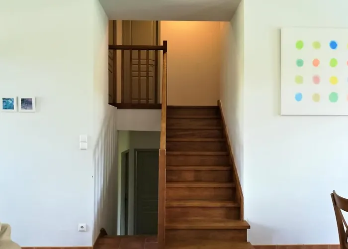 Domaine Du Grand Tourtre * Chalais (Charente)